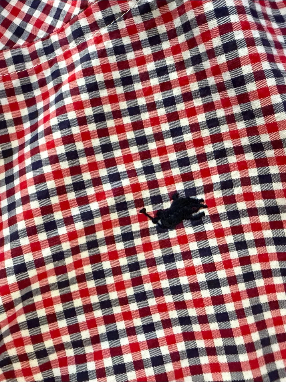 Kids Ralph Lauren Red and Blue Gingham Button-Down Shirt